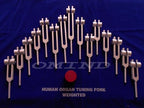 Human Organ 15 pc Weighted Tuning Fork for Healing with Velvet Bag & Activator