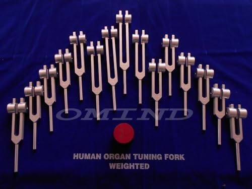 Human Organ 15 pc Weighted Tuning Fork for Healing with Velvet Bag & Activator