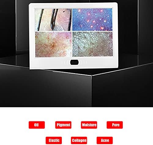 Scalp Detector, 13inch 50X/200X Lens Multi‑Functional Rechargeable Digital Hair Skin Analyzer Microscope Magnifier High Sensitivity Hair Follicle Skin Analyser Tester Machine with 3 Light Modes(US)