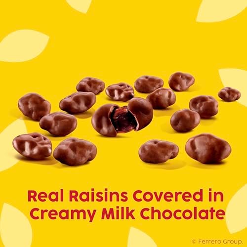 Raisinets Milk Chocolate Covered Raisins, Gluten-free California Movie Theater Candy Box, 3.1 oz, Bulk 15 Pack
