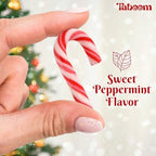 Bulk Mini Candy Cane Individually Wrapped 495 Pack - Small Peppermint Candy Canes Red & White Christmas Candy For Holiday Gifts, Stocking Fillers, Party Favors & Decorations