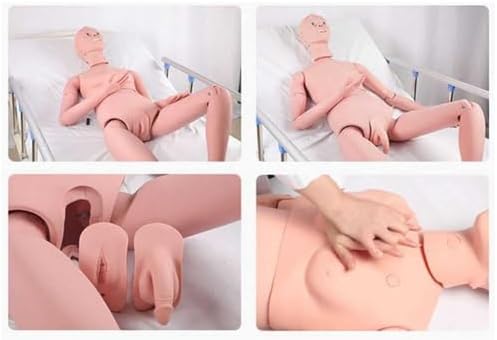 160 cm Training Manikin Patient Care Skills Mannequin with Interchangeable Genitals for Nursing Medical Training Teaching Medical Supplies