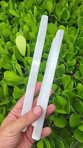 Two (2) Selenite Wand Stick 8-10 Inches Long - 0.5 to 1 inch Wide - Rough Stick - Healing Stone