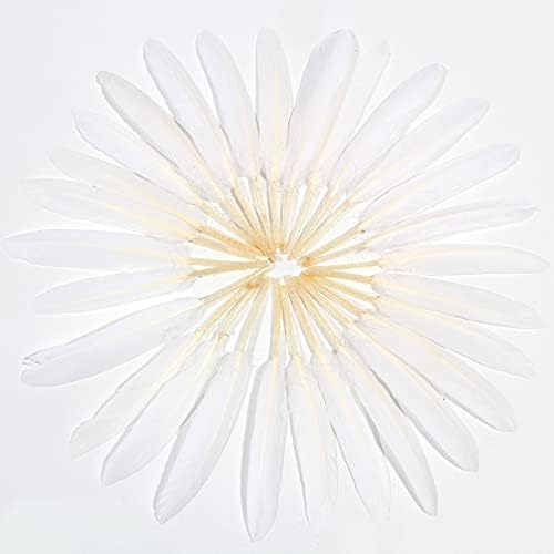 FeelfunFeather 120pcs White Goose Cochettes Feather Natural Bulk 4-6 inch 10-15cm for Wedding Party Christmas Halloween Decorations DIY Crafts