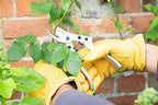 Wilkinson Sword Unknown 1111157W Razorcut Comfort Pruner, Bypass-Large Size