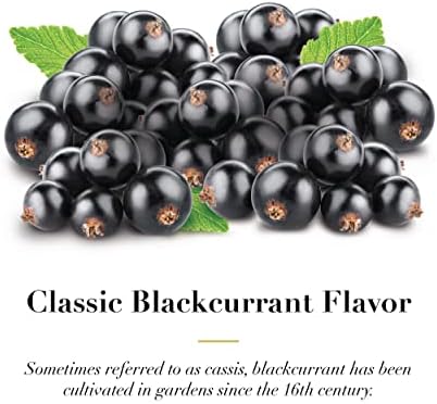 Dr. Doolittle’s Classic Soft Fruit Pastilles for Voice and Throat, Blackcurrant Flavor, 2.12 Ounce Tin, approximately 25 Count Package