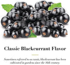 Dr. Doolittle’s Classic Soft Fruit Pastilles for Voice and Throat, Blackcurrant Flavor, 2.12 Ounce Tin, approximately 25 Count Package