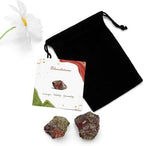 GolbalJew Bloodstone Natural Raw Crystals 2PCS Healing Crystal Stones 1.2-2.0” Reiki Healing Gemstones for Meditation Chakra Balance Home Decor