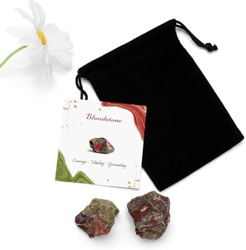 GolbalJew Bloodstone Natural Raw Crystals 2PCS Healing Crystal Stones 1.2-2.0” Reiki Healing Gemstones for Meditation Chakra Balance Home Decor