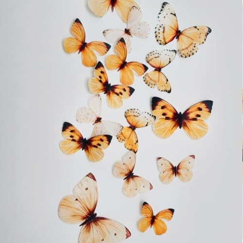 Wafer Edible Orange Butterflies for Cake Decorating Butterfly Cake Toppers & Cupcake Decorations 19x
