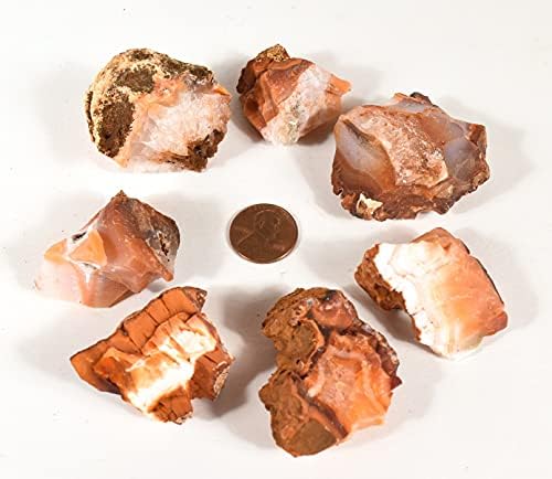 HQRP Red Orange Carnelian Agate Rough Stones Natural Crystal Mineral Gemstone Cabochons Rock Specimen Cabs - Madagascar (5PCS)