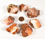 HQRP Red Orange Carnelian Agate Rough Stones Natural Crystal Mineral Gemstone Cabochons Rock Specimen Cabs - Madagascar (5PCS)