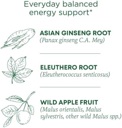 Traditional Medicinals Organic, Stress Ease Focus, Ginseng Wild Apple Mint Tea - Balanced Energy Support & Adaptogens - Kosher, Non-GMO, Caffeine-Free, Compostable - 16 Tea Bags