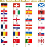 AhfuLife 100 Pcs European 24 Countries Toothpick Flags, Mini European Flag Cupcake Toppers, Different Countries Flags Cocktail Picks for Eurovision Decorations Party Supplies
