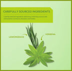 Wissotzky Lemongrass & Verbena Green Tea, 20 Tea Bags | Soothing Aroma | Antioxidant Rich | Refreshing Green Tea Bags