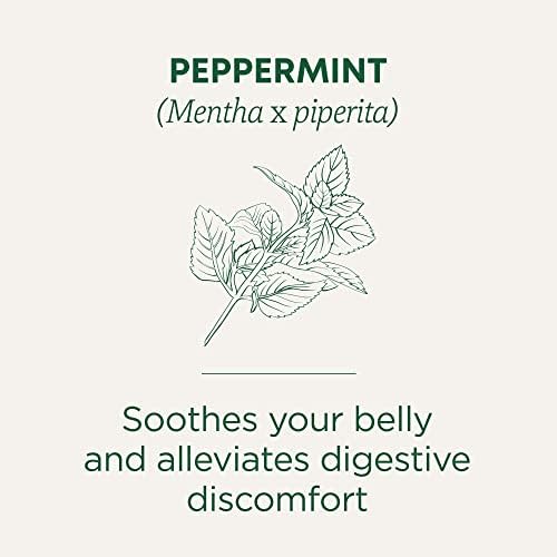 Traditional Medicinals Organic, Peppermint Tea - Helps Soothe Belly from Occasional Gas and Bloating - Kosher, Non-GMO, Caffeine-Free, Compostable - 16 Tea Bags