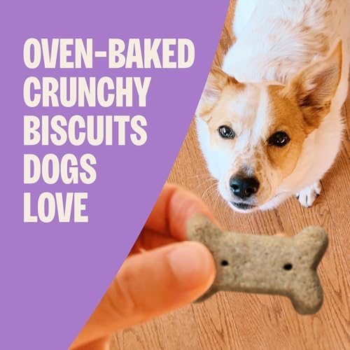 Wellness Old Mother Hubbard Classic Grain Free P-Nuttier'n Nanners Dog Biscuits, Natural Training Treats, Peanut Butter and Banana Flavor, Mini Size. 16 oz Bag