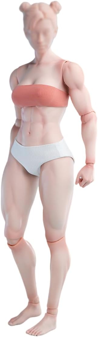 1/6 Scale Female Body,12inch Worldbox Female Joint Flexible Pale Suntan Skin Action Figure Body Collection (Pale Skin, Muscler Version)