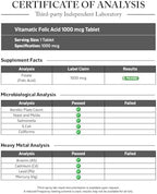 Vitamatic Folic Acid 1000 mcg (1 mg) - Vegetarian Tablets - 1667 mcg DFE - Vitamin B9 (240 Count (Pack of 1))