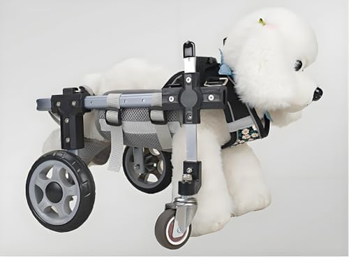 Dog Wheelchair for Small Medium Large Dogs, Adjustable 4-Wheel Mobility Aid, Lightweight Rehabilitation Brace (4 Wheels, M)