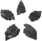 Gem Avenue Natural Black Kyanite Blades Gemstone Crystal 2 to 2.5 inch
