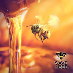 Glorybee, Premium Honey Syrup, Real Honey, No Artifical colors or flavors, 25.4 fl oz