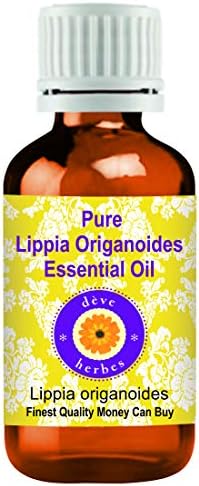 Deve Herbes Pure Lippia Origanoides Essential Oil (Lippia origanoides) Steam Distilled (Pack of Three) 100ml X 3 (10 oz)