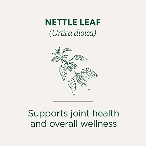 Traditional Medicinals Organic Nettle Herbal Leaf Tea, 16 Tea Bags (Pack of 6)