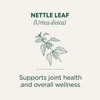 Traditional Medicinals Organic Nettle Herbal Leaf Tea, 16 Tea Bags (Pack of 6)