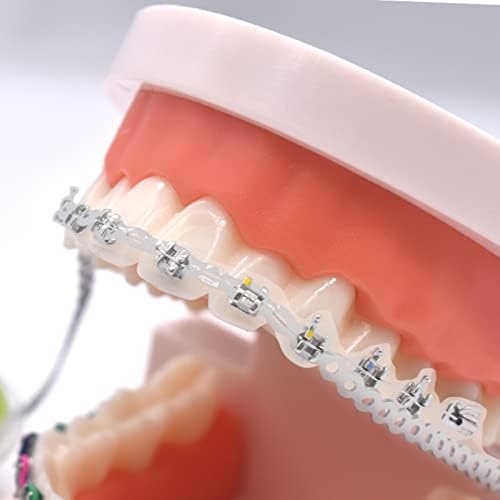 RZJZGZ Clear Dental Orthodontic Elastic Chain Power Chains Brace Orthodontic Spool Elastic Rubber Band (Long)