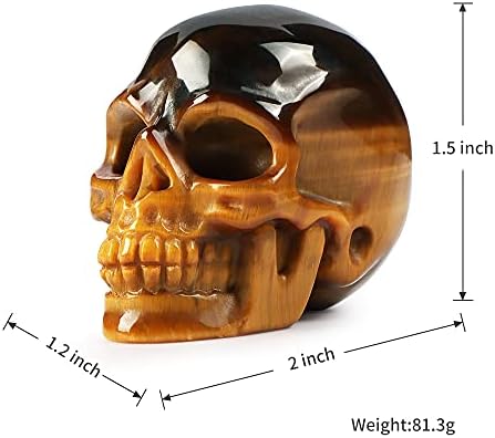 Artistone 2''Tigers Eye Crystal Skull Head Statue Decor,Hand Carved Gemstone Quartz Human Skull Figurine Sculpture Healing Stones for Closet,Fireplace,Home Decoration