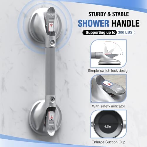 DAILYLIFE Grab Bars for Bathtubs and Showers, 17 inch Shower Handles for Elderly Suction, 300lbs Safety Shower Grab bar for Seniors and Elderly, Silver(1 Pack)