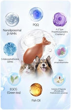 Pet Life Extension Cell Nutrient Comprehensive Version NMN