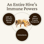Comvita Bee Propolis Throat Spray - Natural Immune Support, Soothing Mint Flavor with New Zealand UMF 10+ Manuka Honey, Antioxidant, Dietary Supplement - 0.7 fl oz