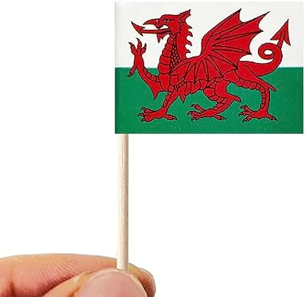 stidsds 100 Pcs Welsh Flag Welsh Toothpick Flags Mini Small Welsh Cupcake Toppers Stick Flags Banner Country Party Cocktail Fruit Decoration