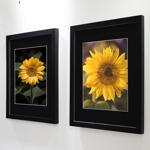 SKAOTUS 18x18 Picture Frame Black Solid Wood for Black Mat 14x14 Wall Mounting Square Poster Frames