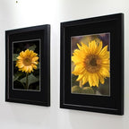 SKAOTUS 18x18 Picture Frame Black Solid Wood for Black Mat 14x14 Wall Mounting Square Poster Frames