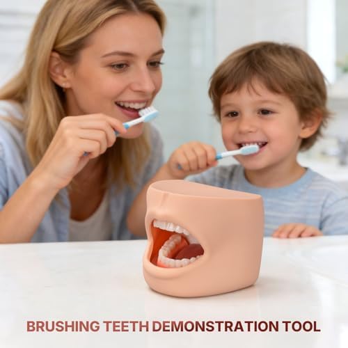 Teeth Model with Cheek Structure, Dental Typodont Teeth Model for Dental Care Demonstration, Tooth Model for Dental Education and Teaching