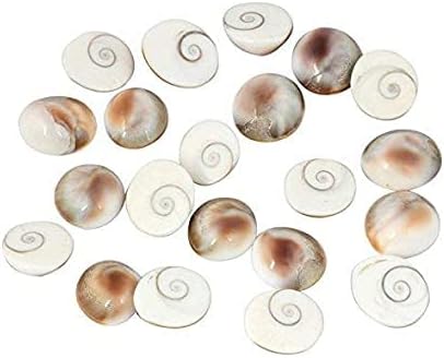 Aashita Creations Natural Rare Gomti Chakra Set of 5 Pieces