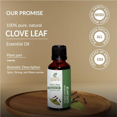 Clove Leaf Oil (Syzygium Aromaticum) Essential Oil 100% Pure Natural Undiluted Uncut Therapeutic Grade Oil 1.69 Fl.OZ