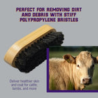 Weaver Livestock Barn Brush, Wooden Grooming Brush for Goat, Sheep, Pigs, Cattle, Stiff Bristles for Dirt Removal, Show Animal Grooming Tools