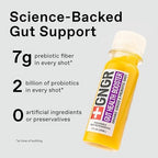 +GNGR Gut Health Shot – Prebiotic and Probiotic for Women & Men - Digestive & Immune Support, Organic Ginger Shot with Apple Cider Vinegar, Turmeric, Aloe Vera 2 fl oz (12-Pack)