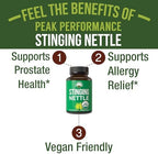 USDA Organic Stinging Nettle Vegan Capsules Made with Stinging Nettle Leaf Powder for Prostate, Hair Growth, Allergy. Better Than Root or Seed Extract. Plant Based Herb Supplement Tablets, 60 Pills