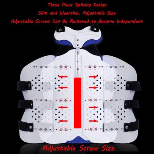 SFKLYU Thoracolumbar Spine Fixation Brace Adjustable Fixed Brace Thoracolumbar Fixed Spinal Brace for Kyphosis,Osteoporosis,Mild Scoliosis,A2