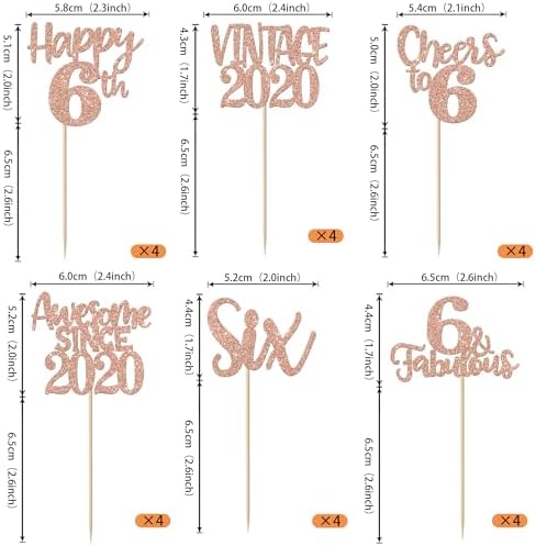 Rsstarxi 24 Pack Happy 6th Birthday Cupcake Toppers Glitter Six 6 Fabulous Vintage 2020 Cupcake Picks for Cheers to 6 Years 6th Birthday Wedding Anniversary Party Cake Decorations Rose Gold