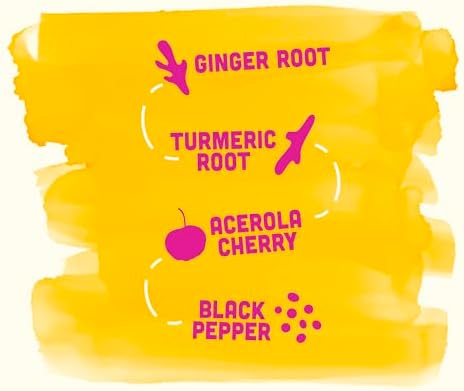 Vive Organic Vitamin C + Immune Support Shot, Cold-Pressed Turmeric, Ginger & Acerola Cherry, Gluten Free, Vegan, Immunity Boost Vitamin C, 2 Fl Oz (Pack of 12)