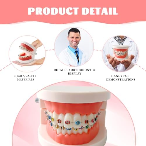 Dental Orthodontic Teeth Model with Colorful Braces, Professional Denture Mouth Model Demonstration Study Tool for Dentistry Students and Orthodontists, Tooth Teaching Equipment with Bracket Supplies