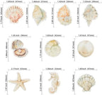 Gyufise 60Pcs Edible Sea Shell Cupcake Toppers Starfish Conch Seahorse SeaShell Cupcake Picks Edible Beach Party Decorations for Under the Sea Baby Shower Wedding Birthday Party Cake Decors Supplies