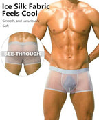 Mens Sexy See Through Boxers Ice Silk Sheer Underwear Trunks Stretch Ultra Thin Bulge Pouch Boxer Briefs