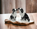 Cosmos Gifts Ceramic Border Collie Salt and Pepper Set, 2-1/2-Inch